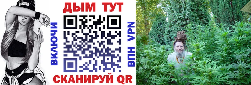 Где купить Кириши Каннабис  КОКАИН  АМФ  Меф  ГАШИШ 