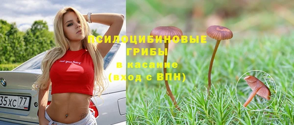 а пвп мука Богданович