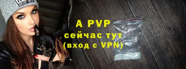 ПСИЛОЦИБИНОВЫЕ ГРИБЫ Богородск