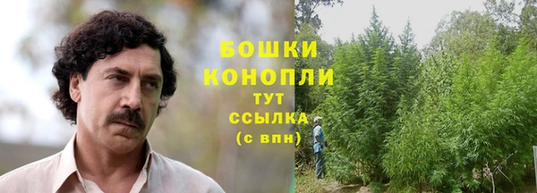 ПСИЛОЦИБИНОВЫЕ ГРИБЫ Богородск