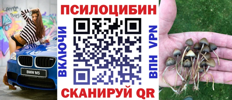 Псилоцибиновые грибы мухоморы  Кириши 